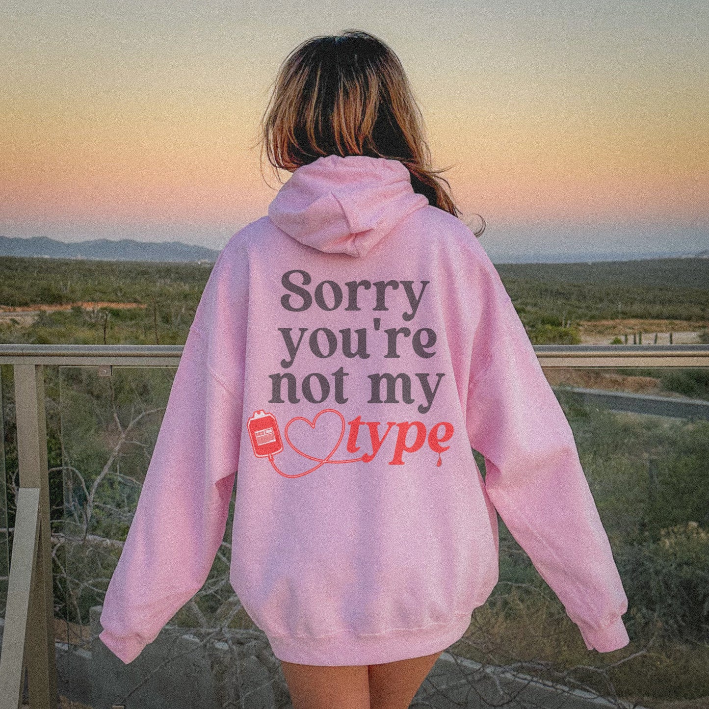 Sorry you're not my type Hoodie