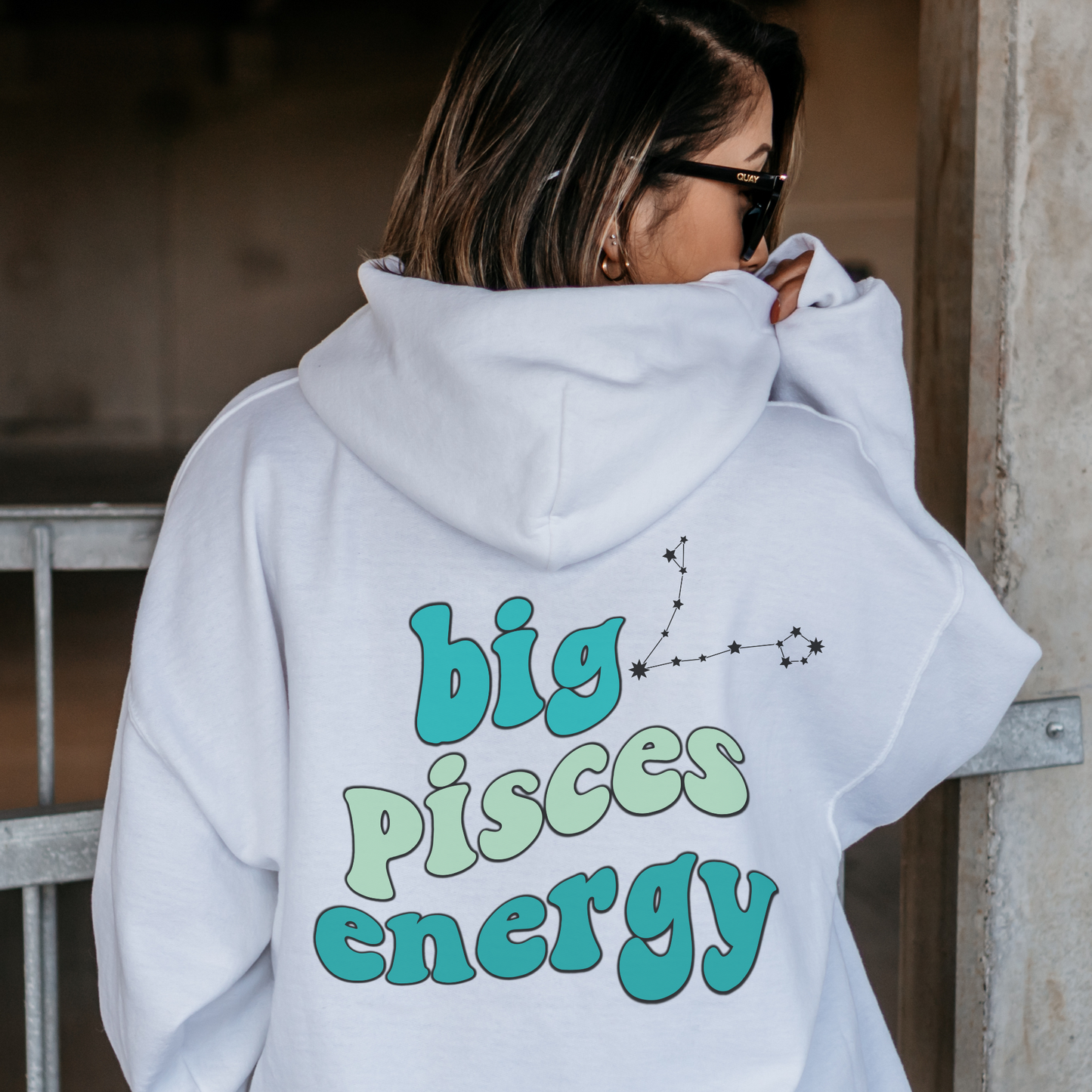 Big Pisces Energy Hoodie, Pisces Sweatshirt, Astrology lover gift, Zodiac sweatshirt, Christmas gift for Pisces, Astrology hoodie