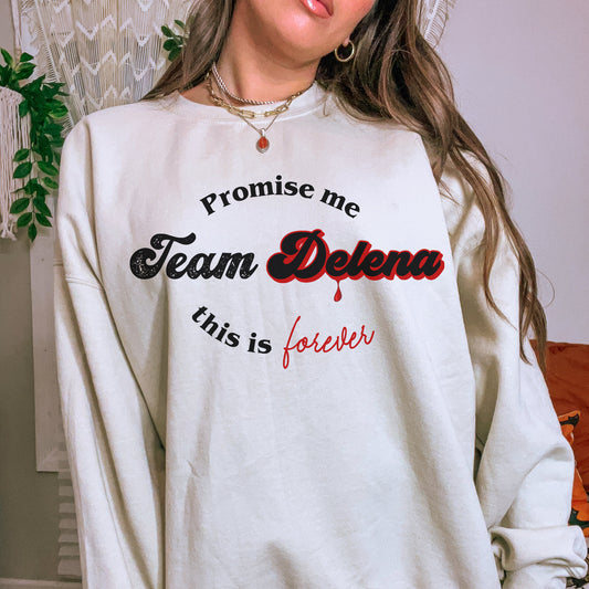 Team Delena Sweatshirt, TVD sweatshirt, Tvd merch, TVD apparel, Damon Salvatore, The Vampire diaries, TVD fan gift